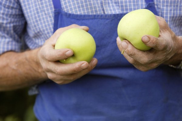 Agricoltore di mele
